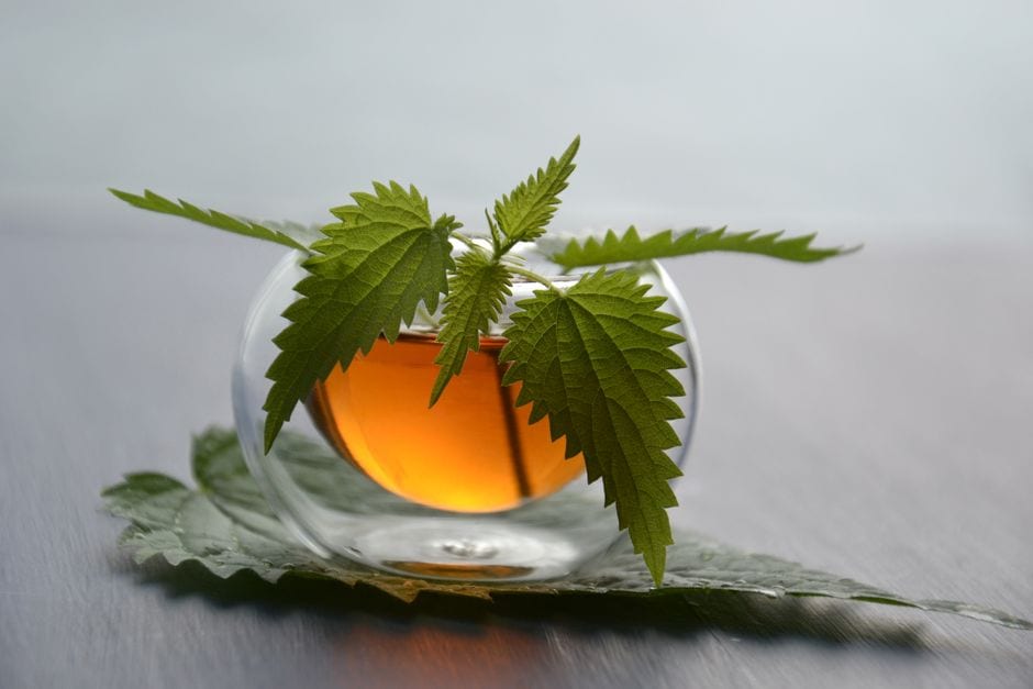 Nettle tea