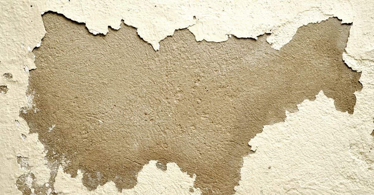 Close-up of a wall with peeling paint revealing the rough texture underneath.